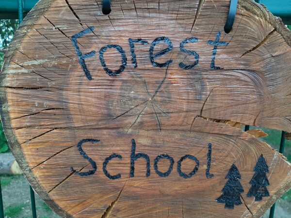 FOREST12