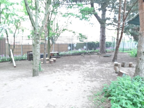 FOREST3