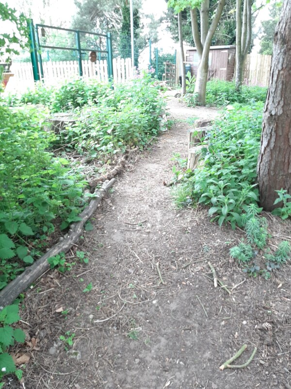 FOREST5