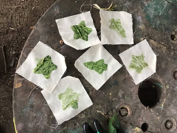 Forest School Blog Image